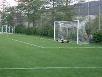 USI-Gro�feldmeisterschaft 2006, Superfreunde vs. Titelverteidiger