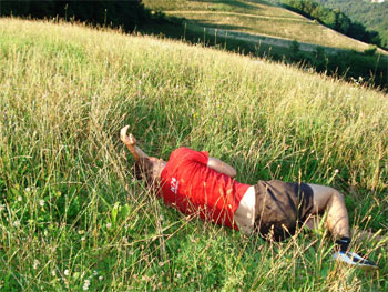 Kleinfeldturnier FC Waldstadion 2007