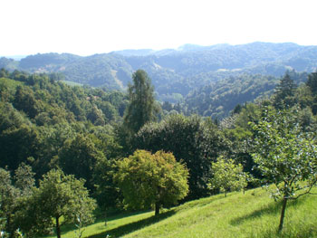 Kleinfeldturnier FC Waldstadion 2007