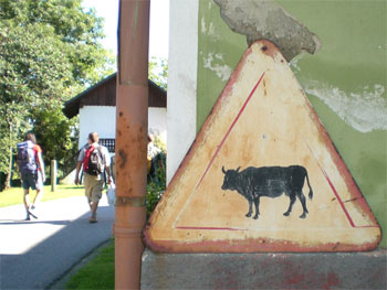 Kleinfeldturnier FC Waldstadion 2007